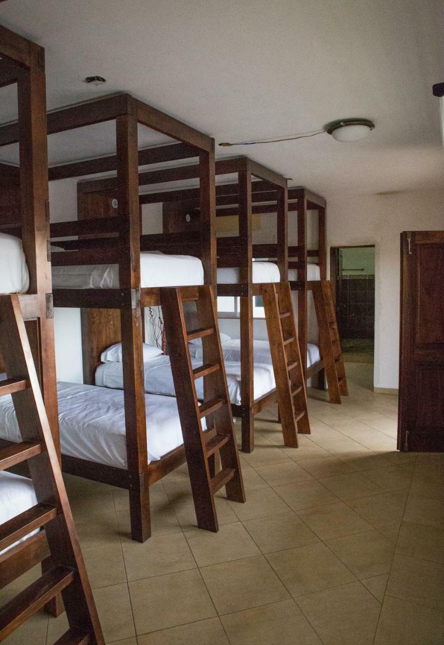 Lush Sayulita Hostel Ngoại thất bức ảnh